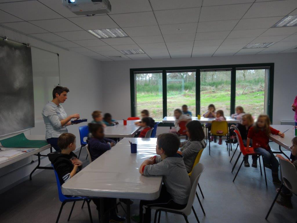 Rencontre avec Angélique Lecaille - classe de CP Les Trois rivières Breteil