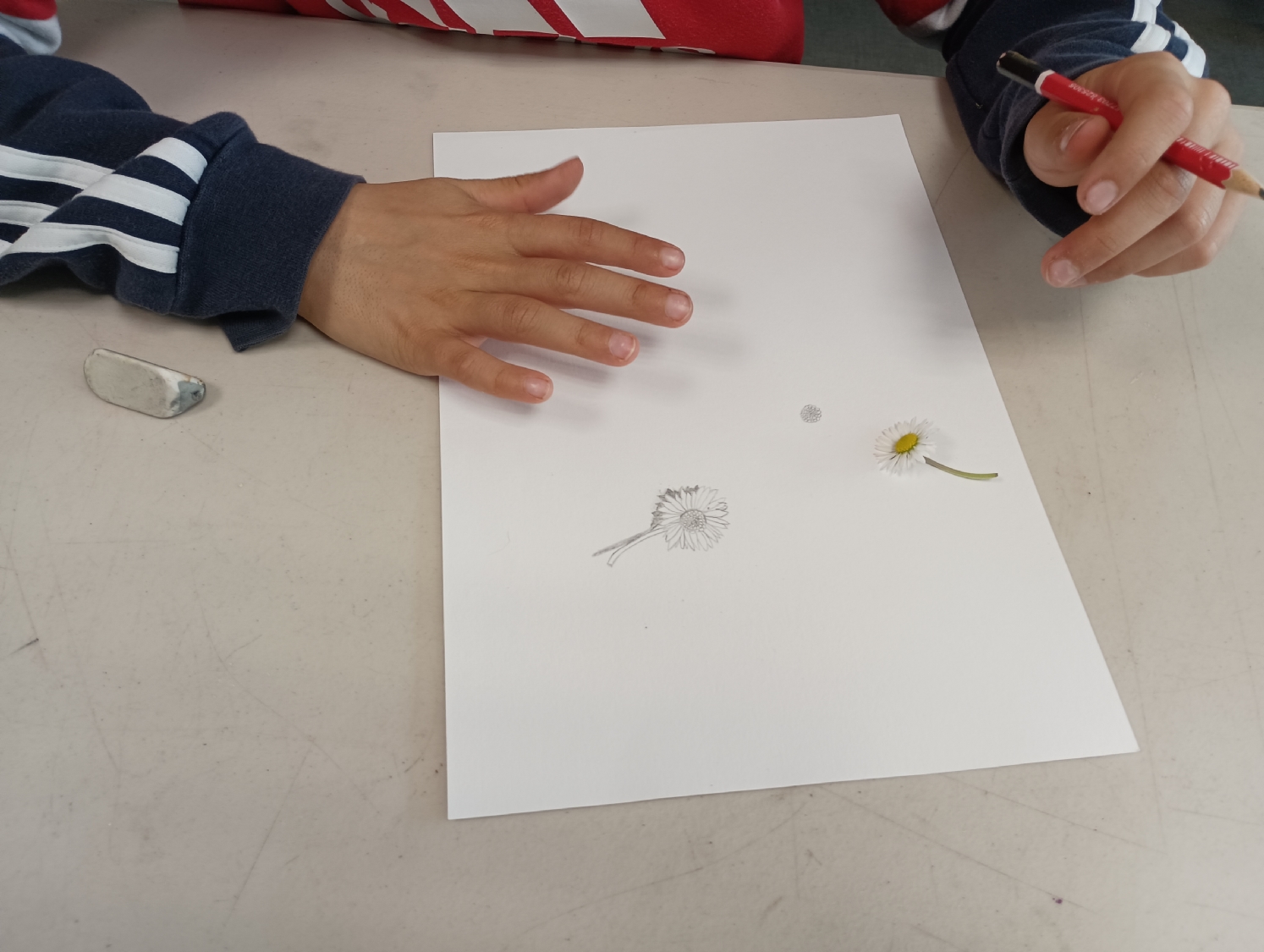 Rencontre avec Carlos Bernal Barrera