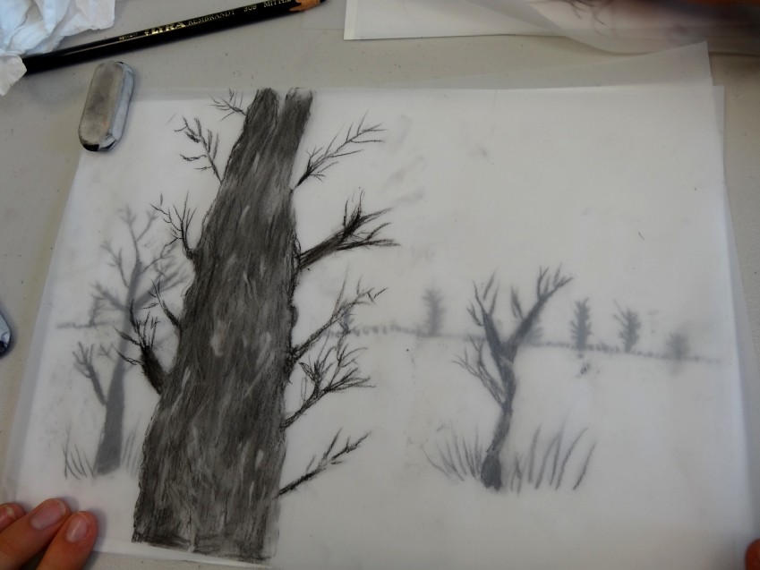 Classe de CM2 de l'école élémentaire publique la Fée Viviane, Iffendic