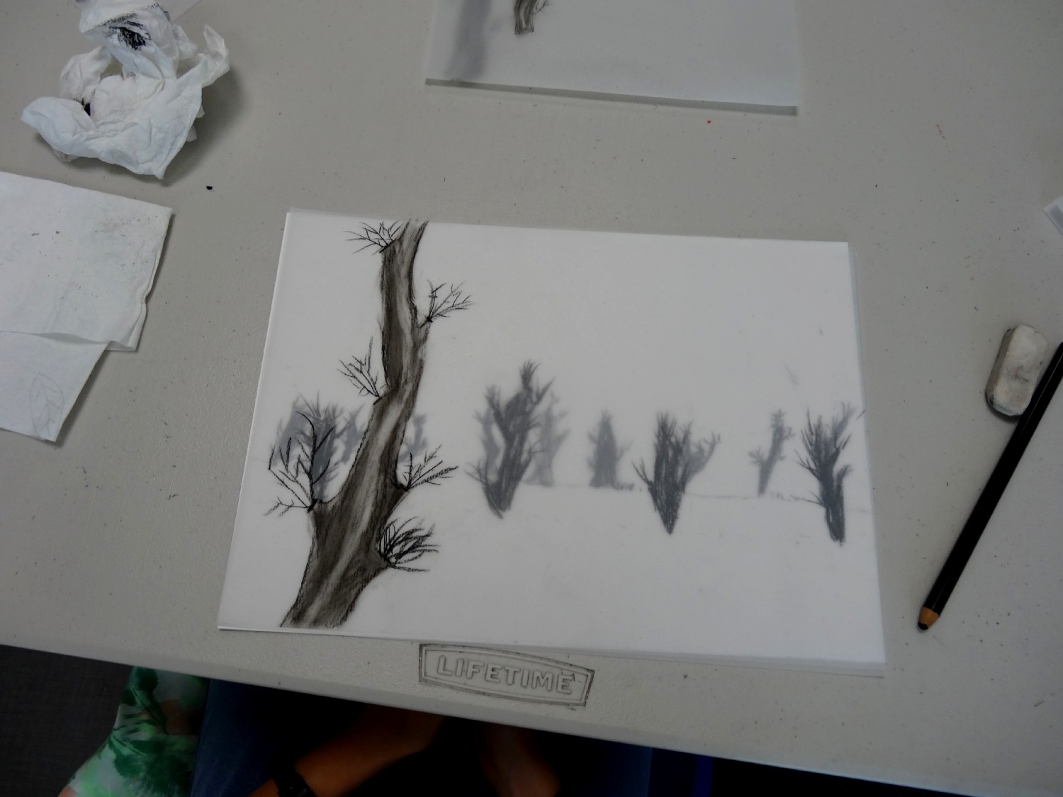 Classe de 4ème du collège Louis Guilloux, Montfort-sur-Meu