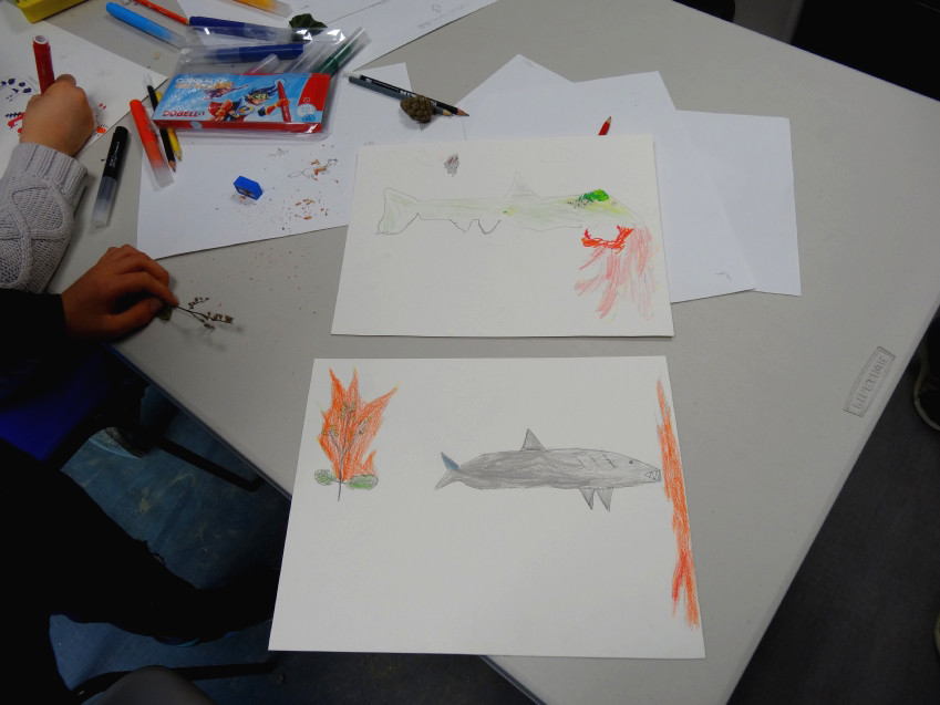 Classe de CE2-CM1 école élémentaire publique du Moulin à Vent, Montfort-sur-Meu