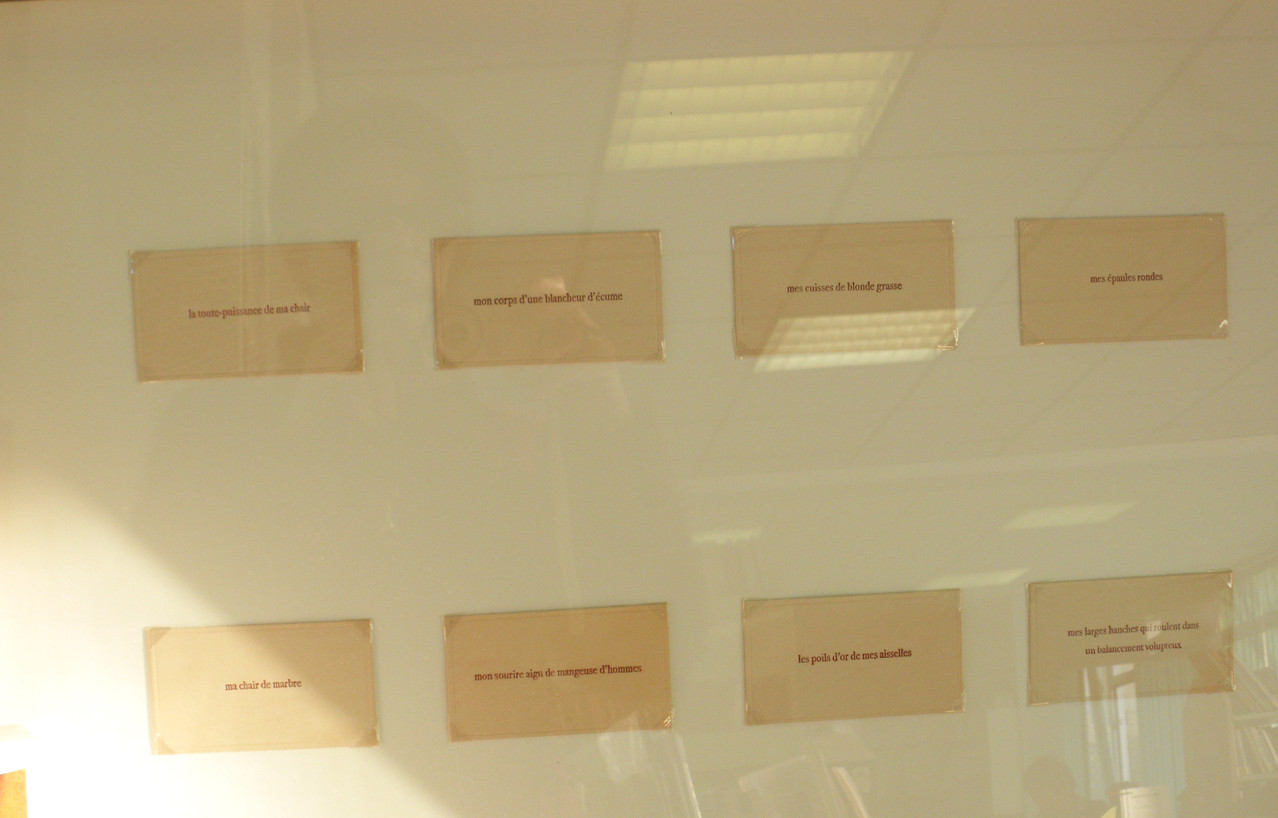 Vue d'exposition bibliothèque de Bédée - Sharon Kivland, Ma nana huit fois, 2005