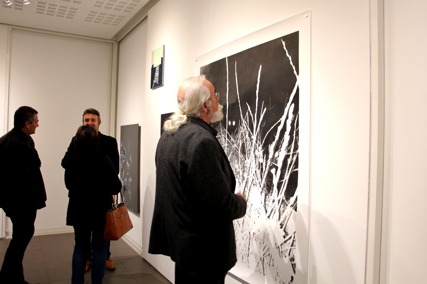 Vernissage de l'exposition Julie Bonnaud et Fabien Leplae, Plasmes