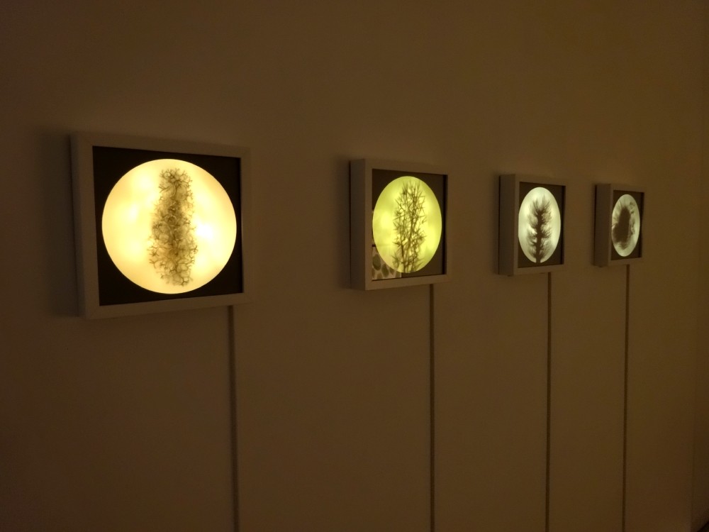 Vue de l'exposition Eunji Peignard-Kim, Drapés de paysage, 2015