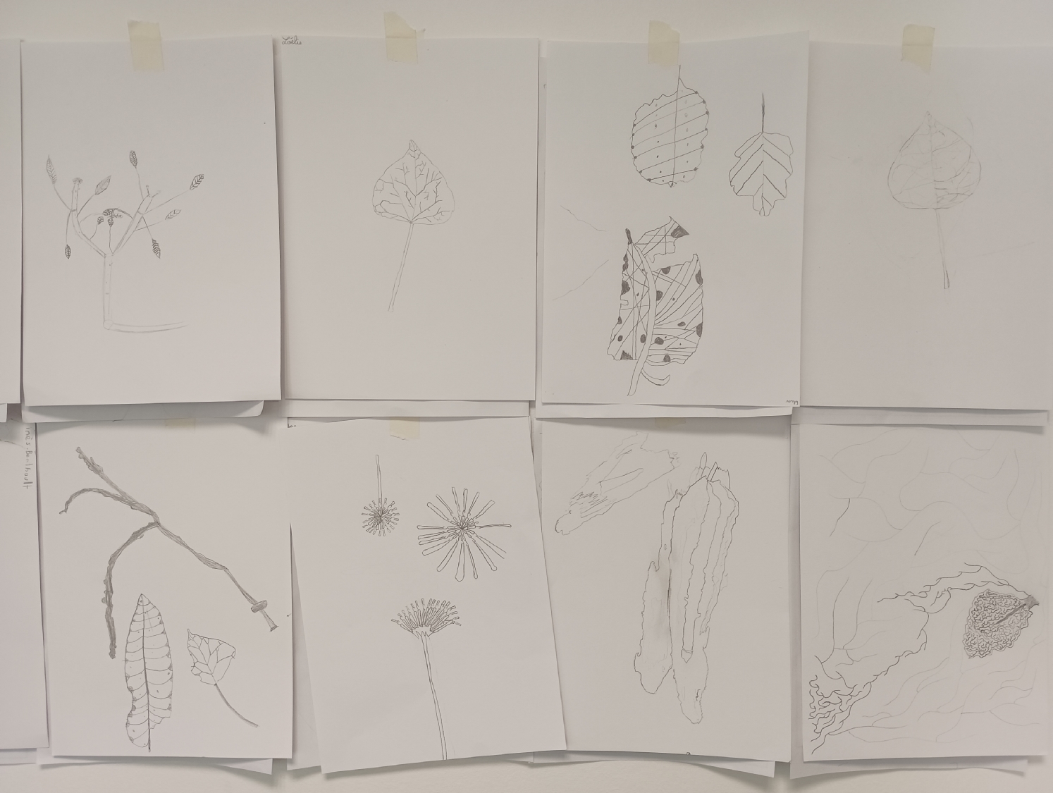 Rencontre avec Carlos Bernal Barrera