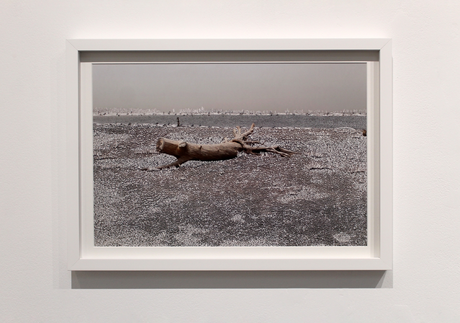 Raphaëlle Peria, Quand les eaux se retirent #2, grattage sur photographie, 30 x 45 cm, 2020