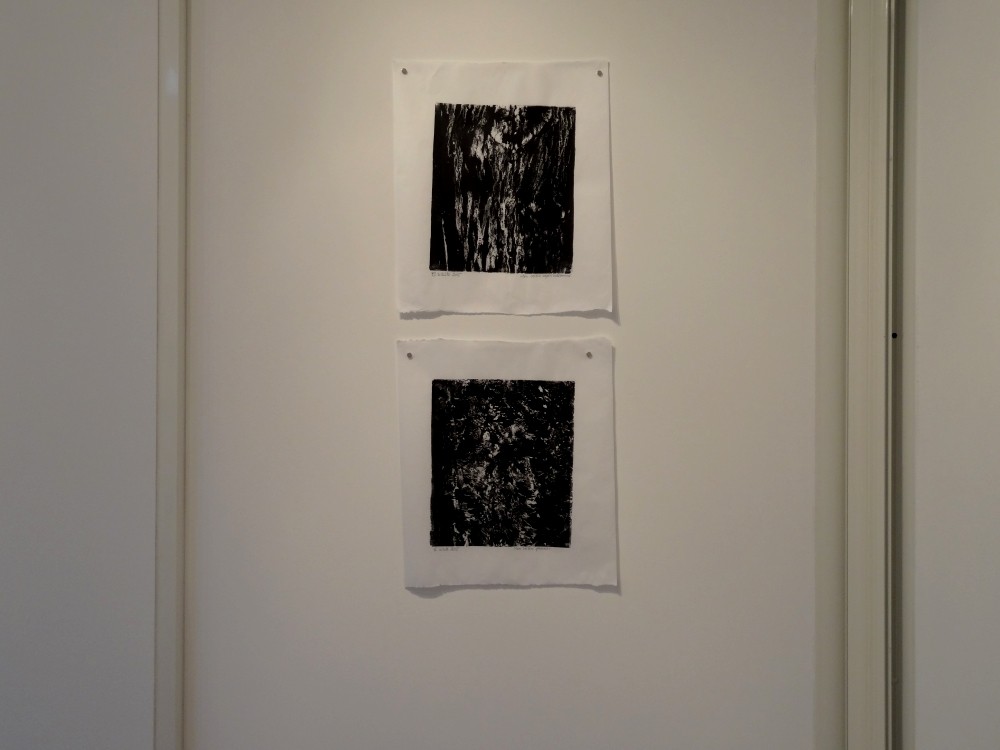 Vue de l'exposition Cécile White, Empreinte carbone. "Radiographies de mes voisins", 4 monotypes acryliques sur papier de lune, 46x53 cm pièce, 2015.