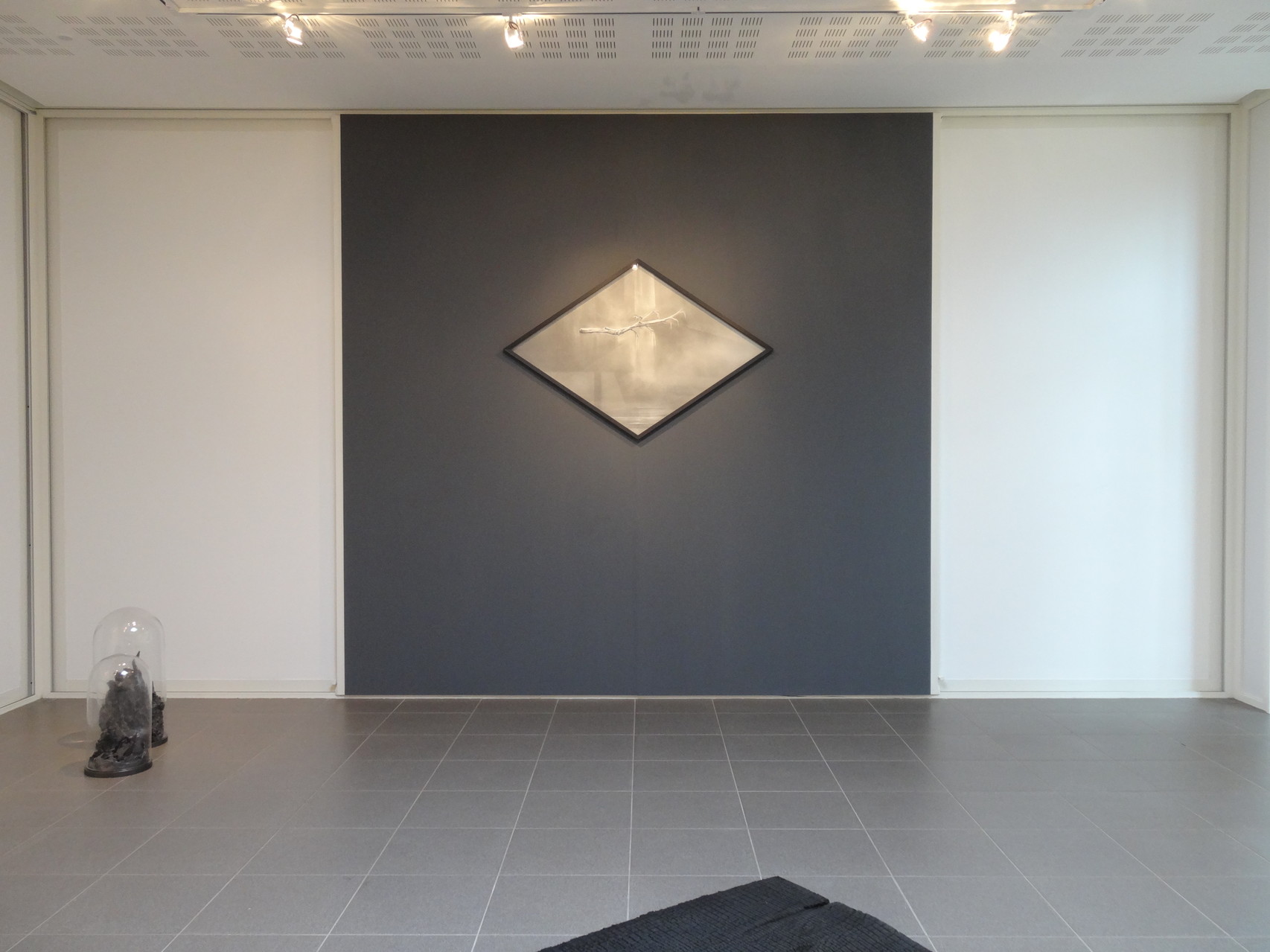 Vues de l'exposition Angélique Lecaille, After Dawn, 2014.