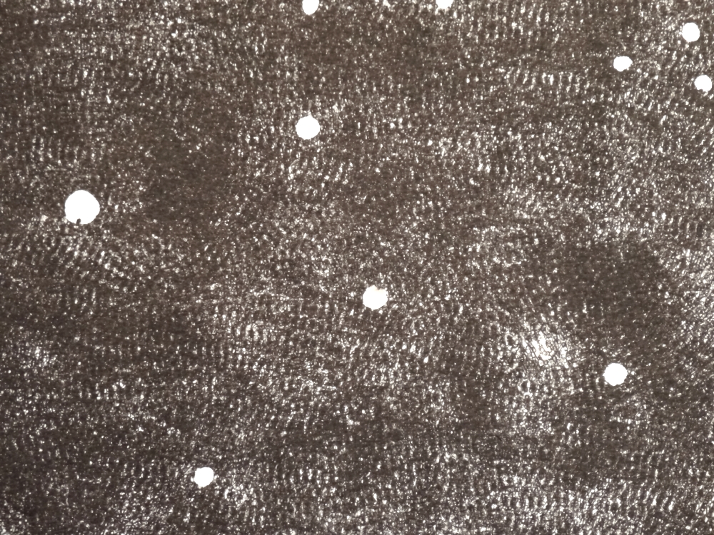Nikolas Fouré, Mesures (détail), 2015. Tampon encreur sur papier Montval 300g. 25 parties de 41 x 51 cm. Le tout : 205 x 255 cm. Photo : L'aparté.