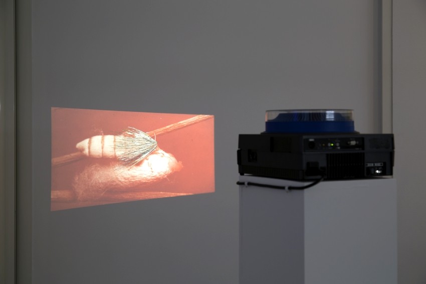 François Feutrie, Les habitants du sous-sol, 2015. Photo : Hervé Beurel