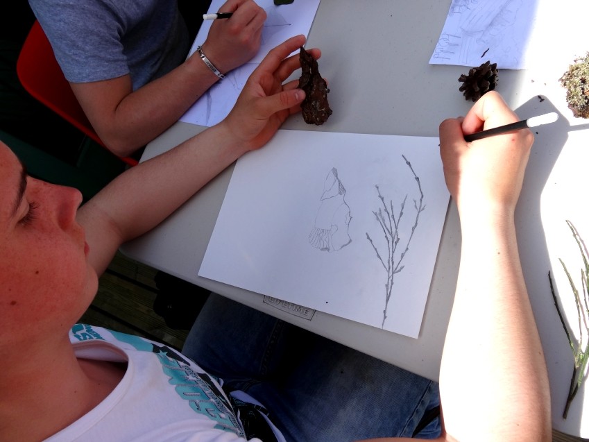 Dessin d'observation à partir des éléments végétaux et minéraux récoltés dans la nature
