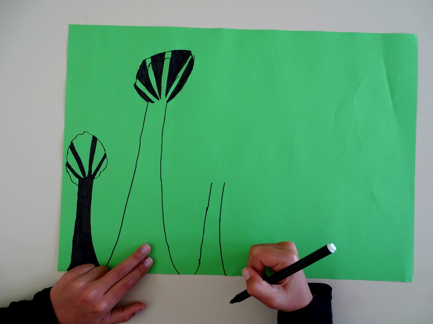 Etapes de création du logo de l'école du Moulin à Saint-Uniac; Photo : Marine Bouilloud