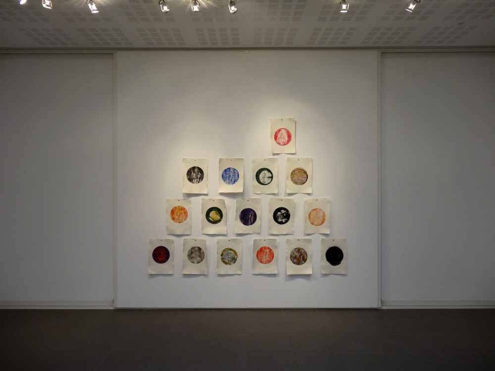 Vue de l'exposition Cécile White, Empreinte carbone. "Tas de Soi", Installation de 16 monotypes acrylique sur papier coton, 29,5x41 cm pièce, 2015.