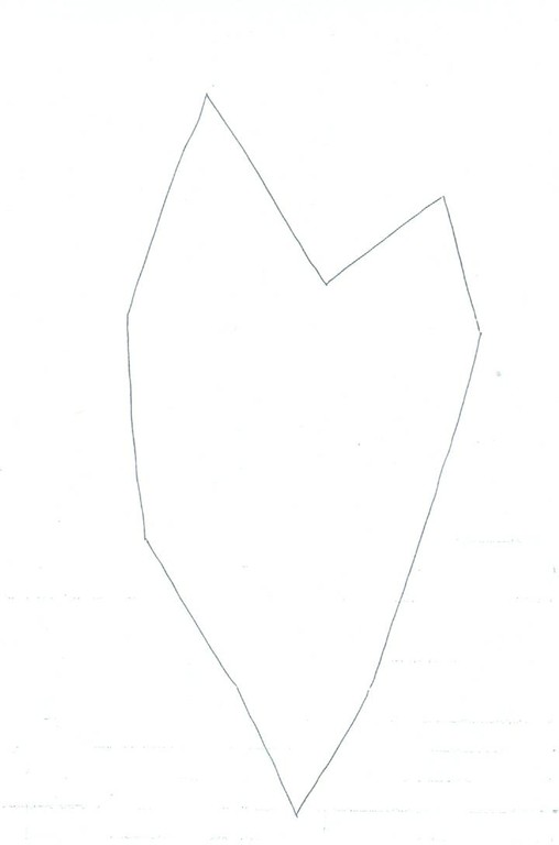 A partir du dessin n°1 retourné et placé sur une feuille cartonnée : repasser sur le contour au stylo bille noir.