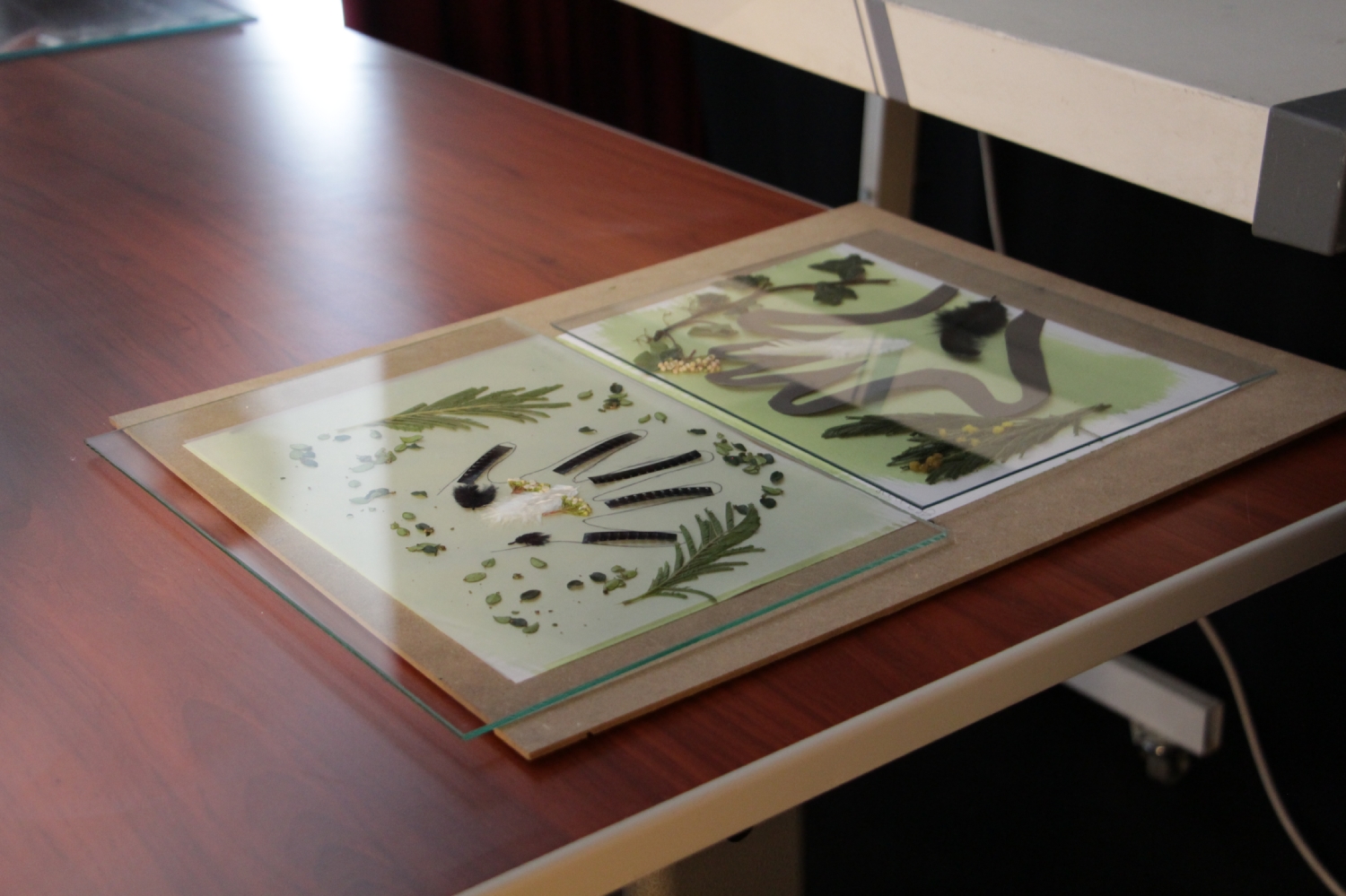 Atelier photo avec Mael Le Golvan