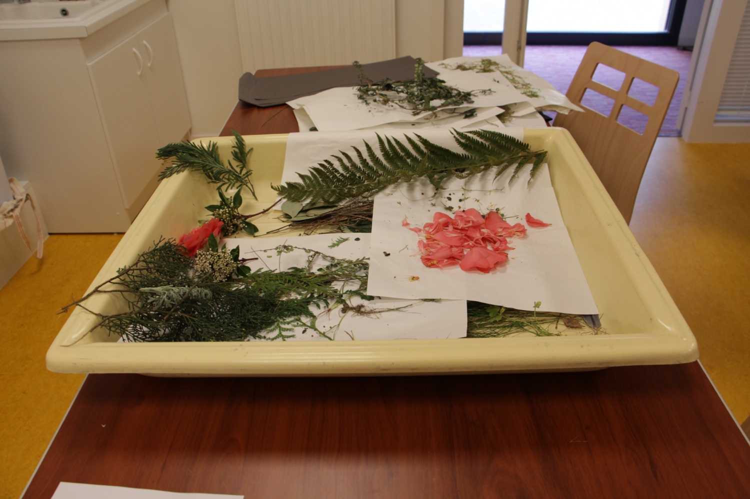 Atelier photo avec Mael Le Golvan