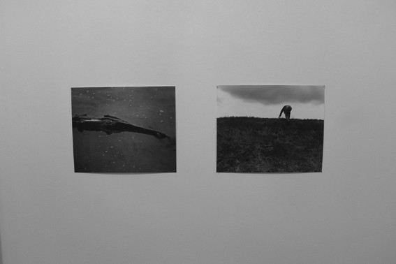 Vue de l'exposition Israel Ariño, Terra Incognita