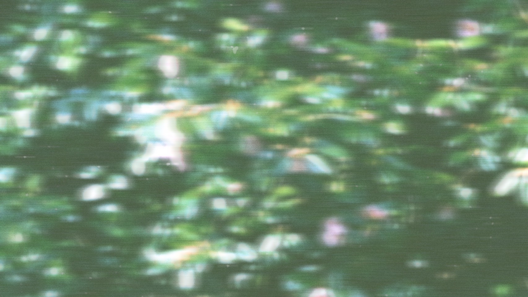 Goods Jam Fuzz Kid Official HP