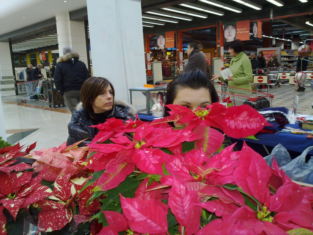 Raccolta fondi Martedì 21 Dicembre 2010 - Centro commerciale "Il Castello" Susanna, Erica