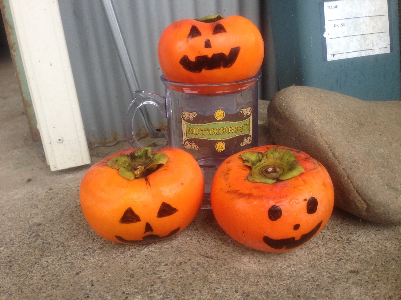 ハロウィン柿 - せっきーファーム～柿専門農家～