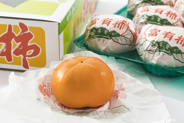 オンラインショップはこちら ≫