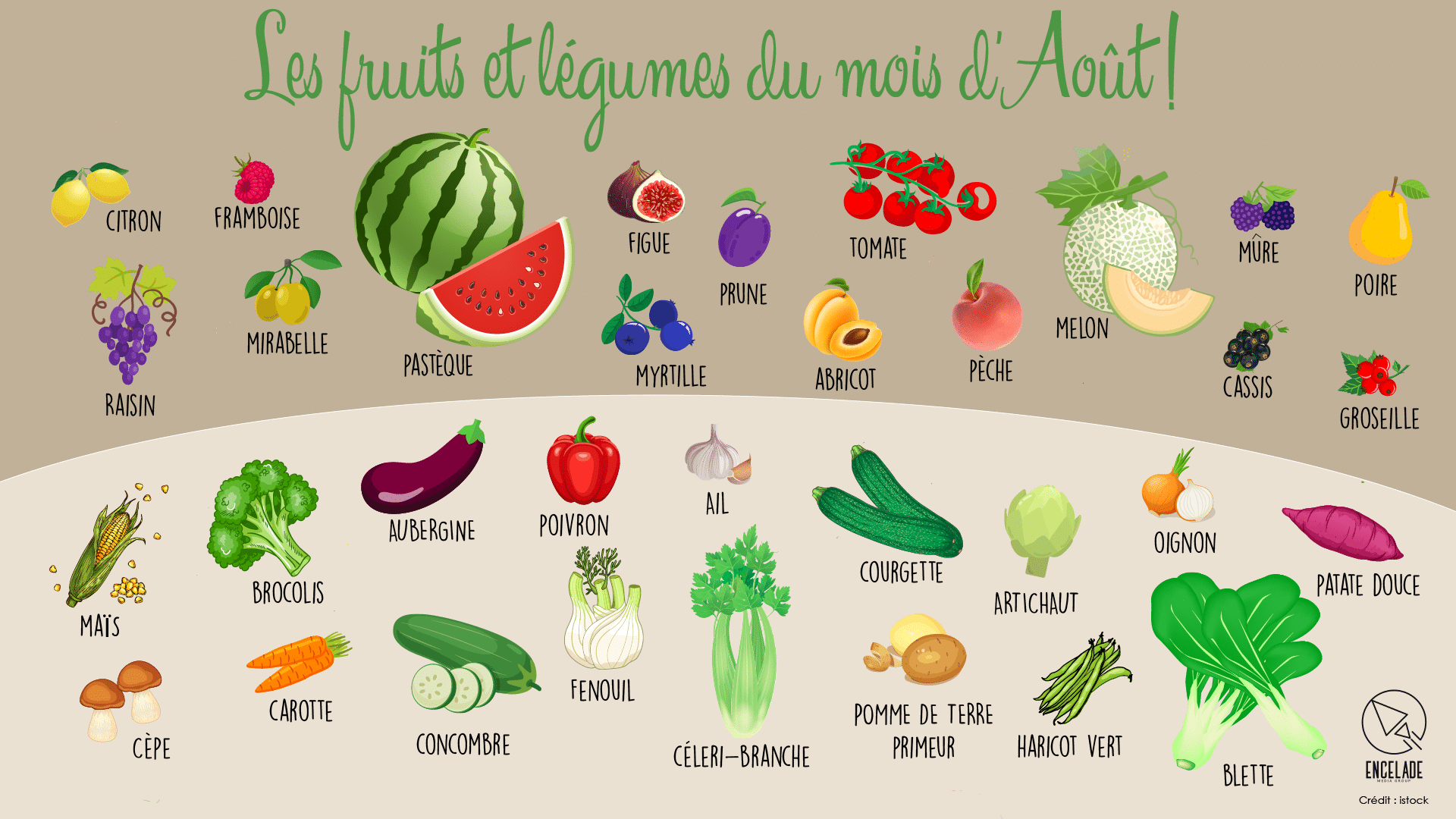 Actualités et Recettes Diététicienne Nutritionniste Pau