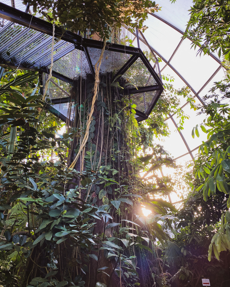 Botanical Garden University of Zurich