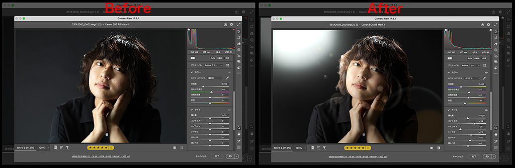 CameraRawだけで出来る事