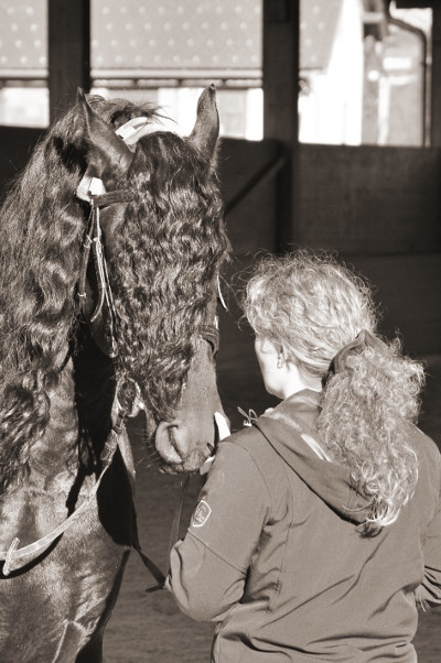 Tymen und ich am 25. Dezember 2011 - welch ein tolles Pferd ich doch hab!
