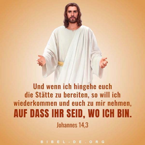 Download Bibelzitat For Android Free