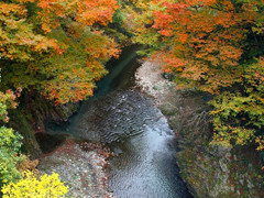 千代鶴 あきる野 自然環境