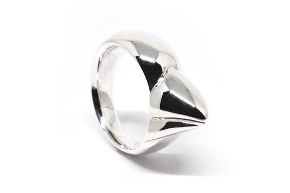 くちばしリングシリーズ - parakee.jewelry