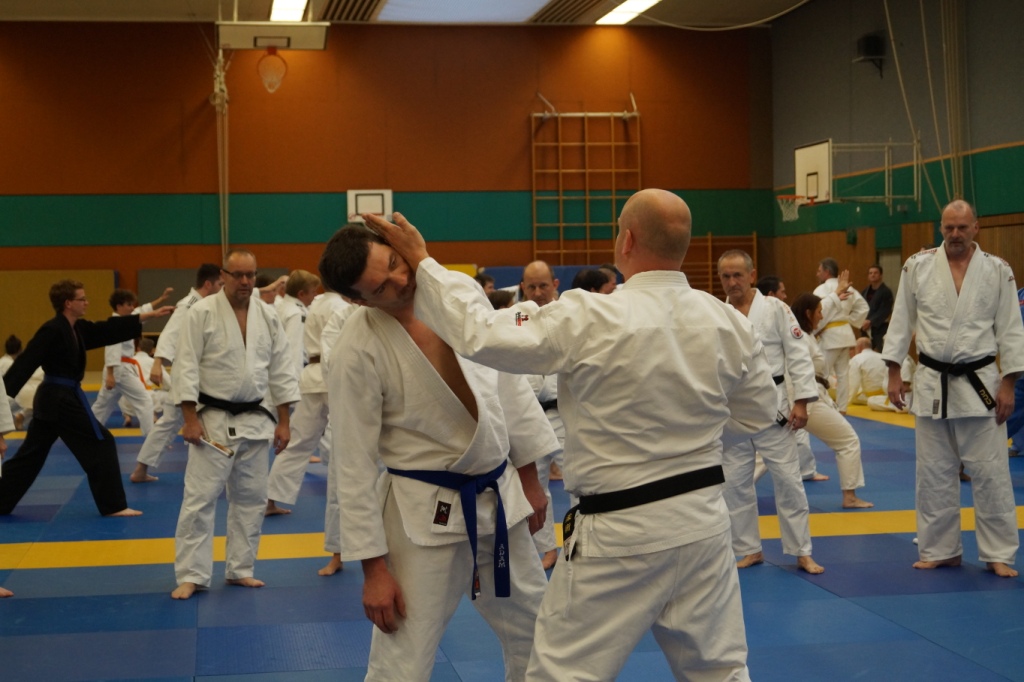 Jiu Jitsu Union NW - JJU NW - Jiu Jitsu - Moderne Selbstverteidigung - Kampfkunst - Kampfsport