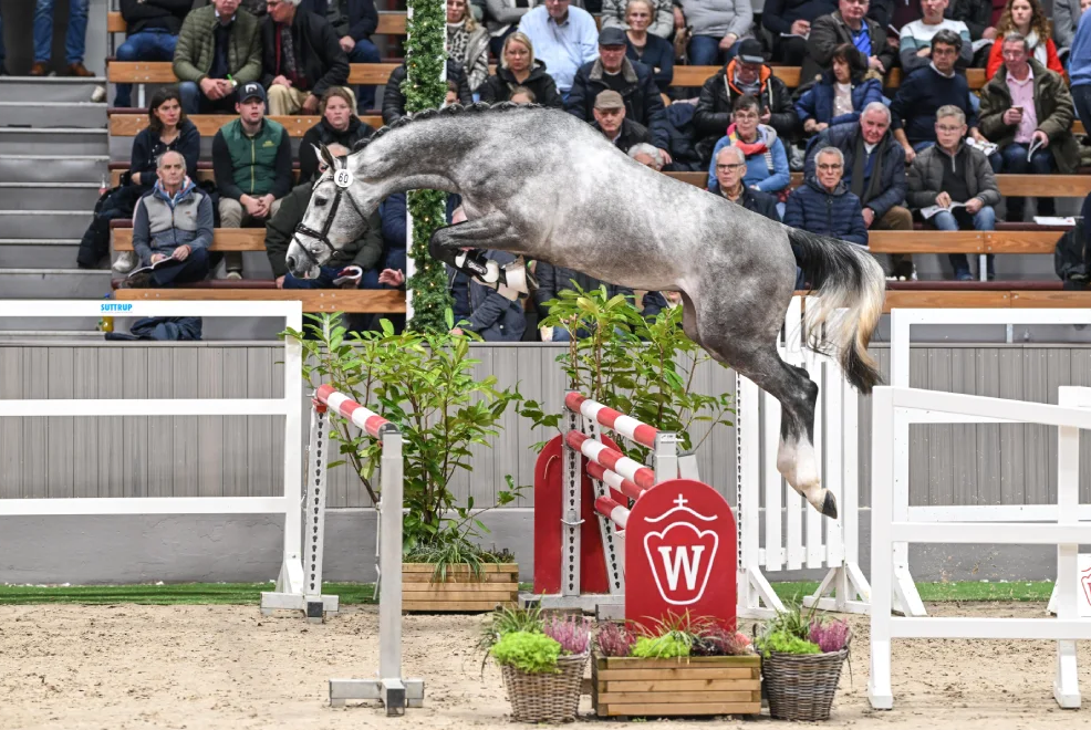 Cashmeres Carat | Ferienhof Stücker