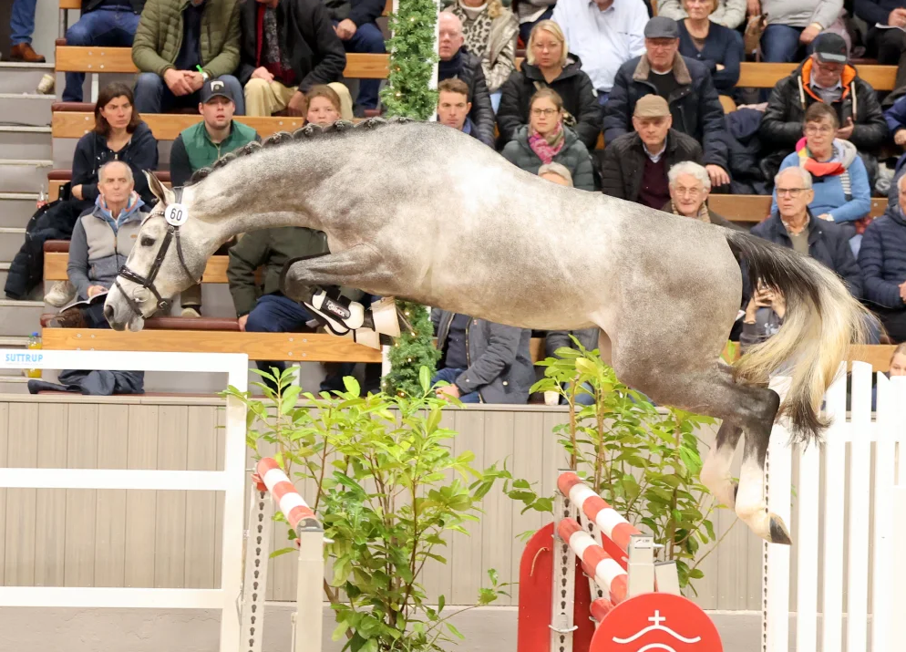 Cashmeres Carat | Ferienhof Stücker