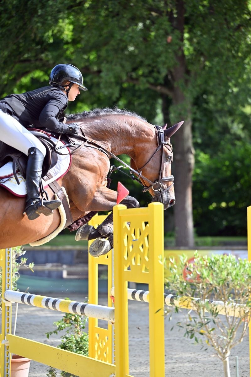 Don Calido | Ferienhof Stücker