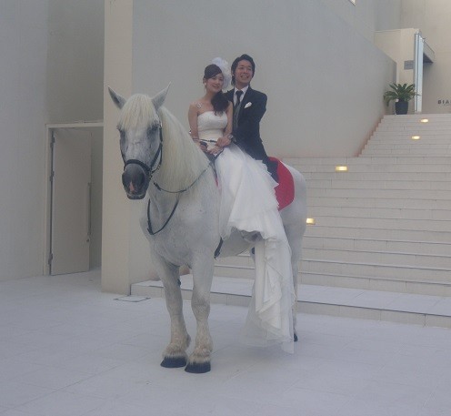 愛知 岐阜 結婚式場のご紹介 結婚式の演出は 馬車と馬のブルーホース 愛知 岐阜 結婚式場のご紹介 結婚式の演出は 馬車と馬のブルーホース