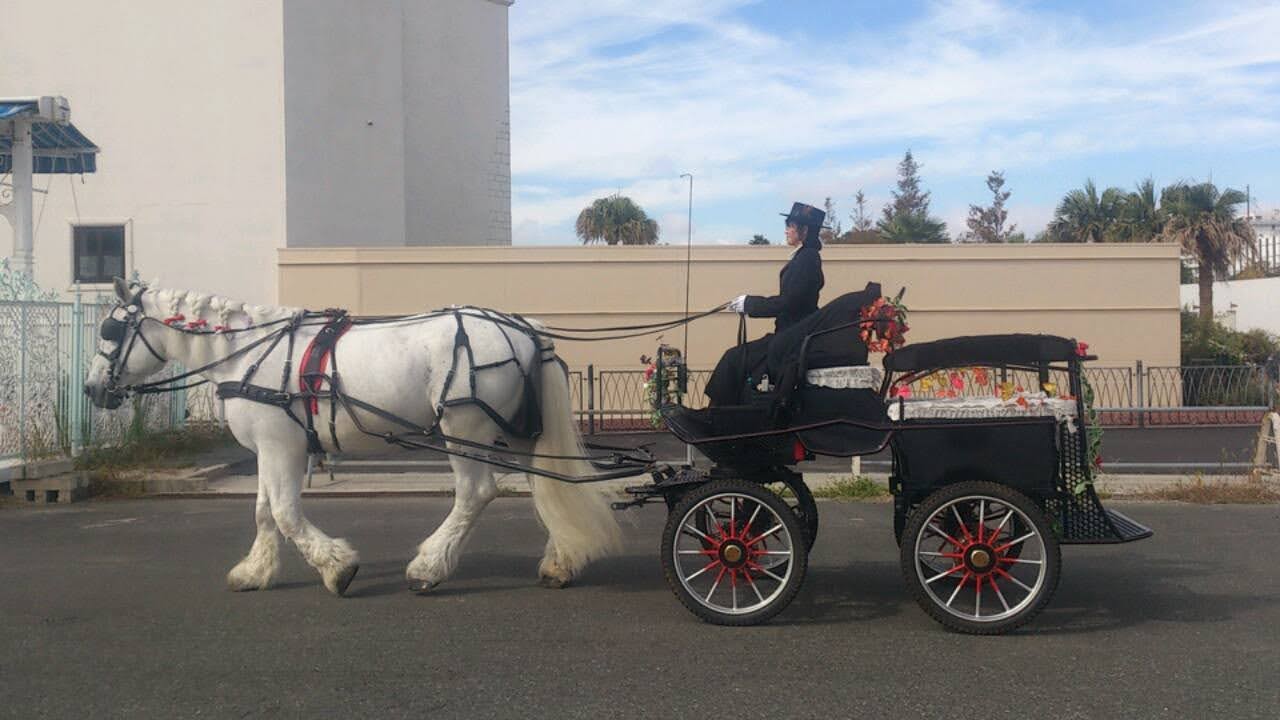 馬車の種類 結婚式の演出は 馬車と馬のブルーホース