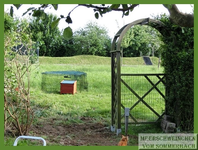 Das neue Loch für den neuen Gartenausgang 31.05.2015