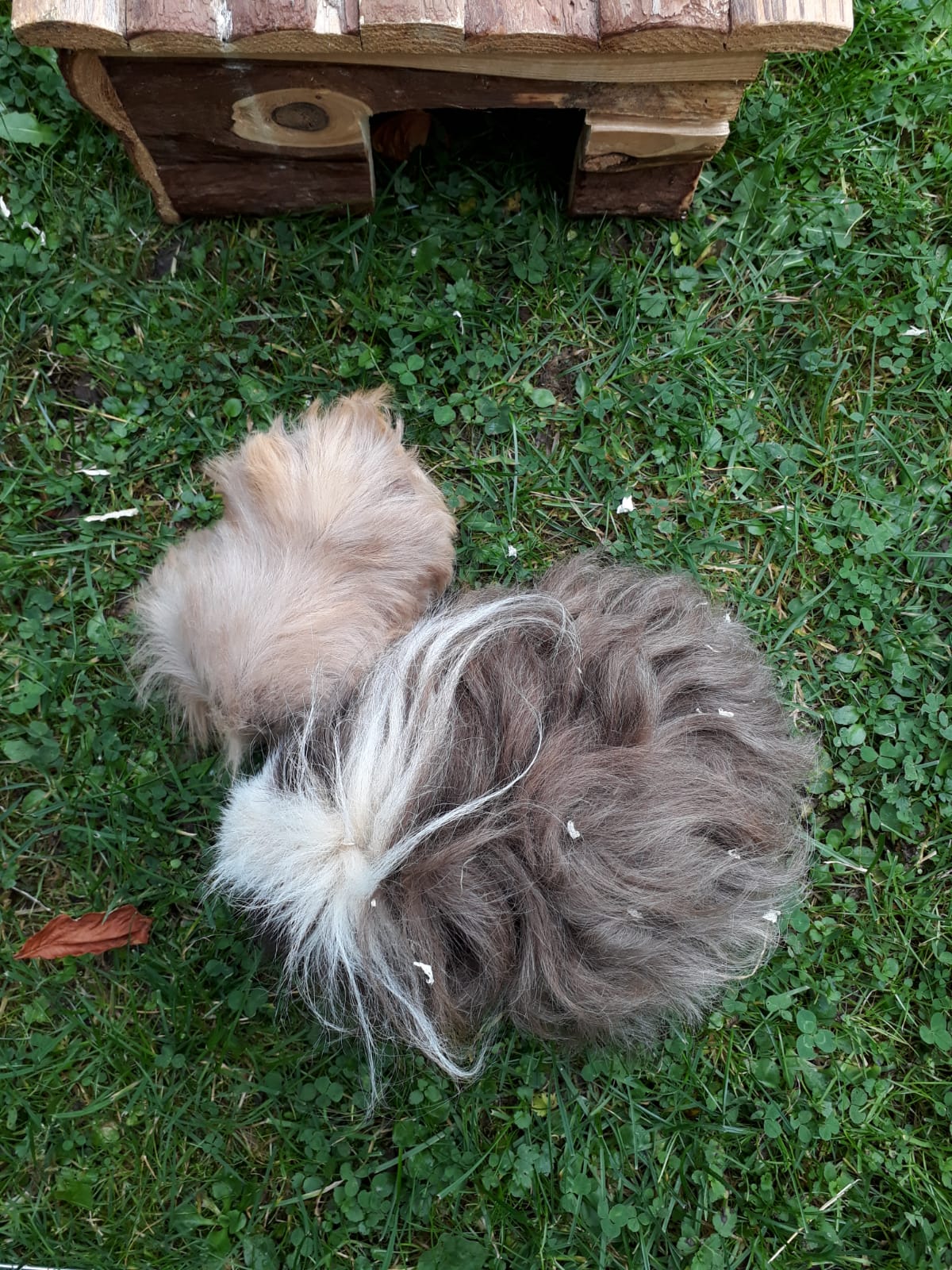 Zvonko mit seinem neuen Erzieher