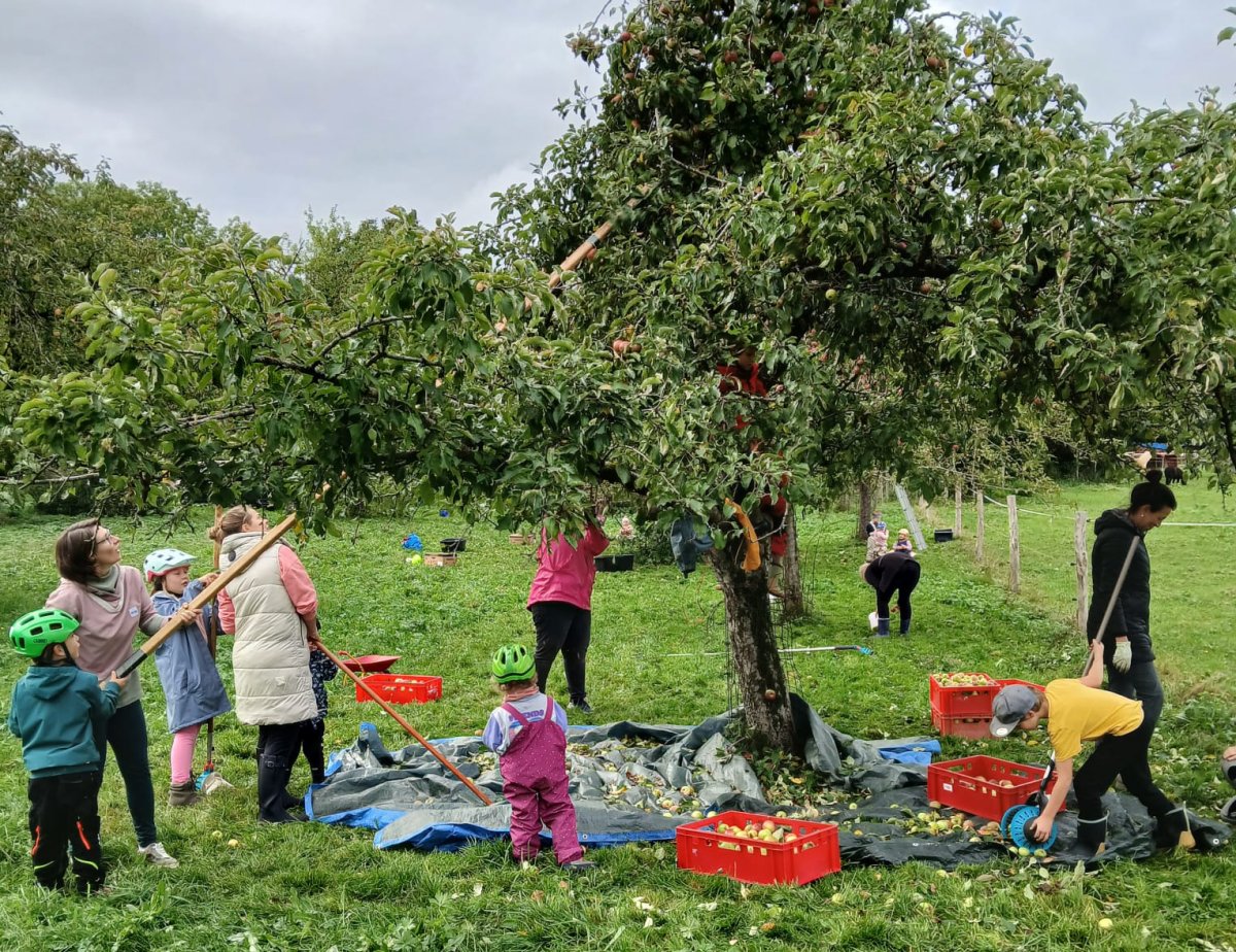 Vom Apfel zum Saft – eine süße Aktion mit Tradition