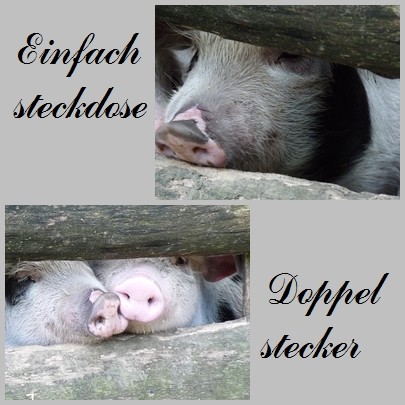 Schweinische Collage