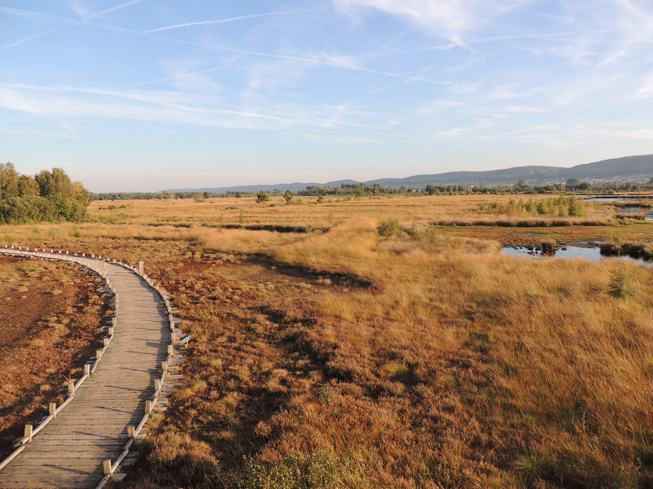 Großes Torfmoor bei Lübbecke