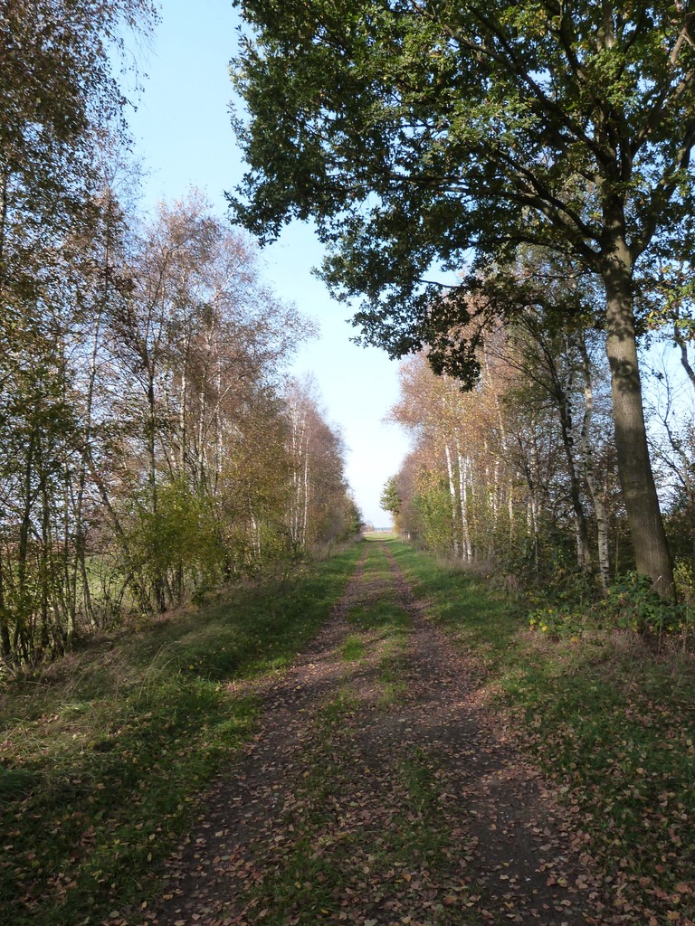 Sammelplätze im Rehdener Geestmoor