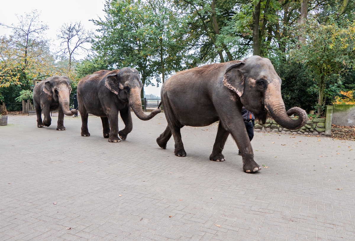 Tierpark Ströhen