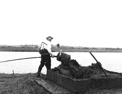 Der Kescher wird am Rand einer Moorkuhle nach oben gezogen und der so gewonnene Torf wird an Land in eine Torfkiste geworfen. 