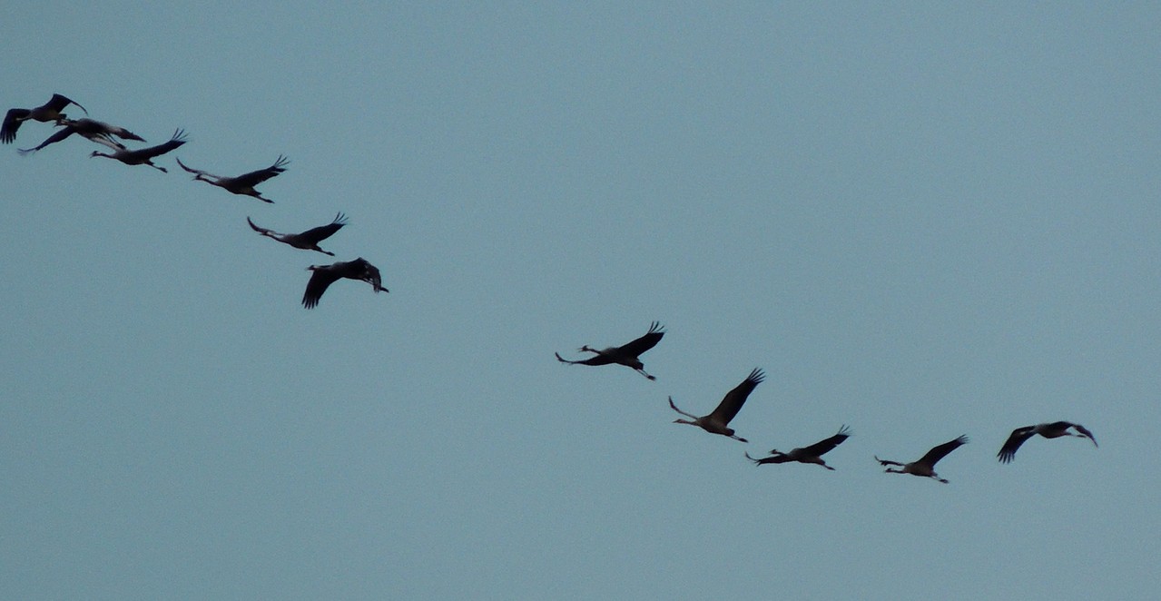 Ausflug am Morgen 