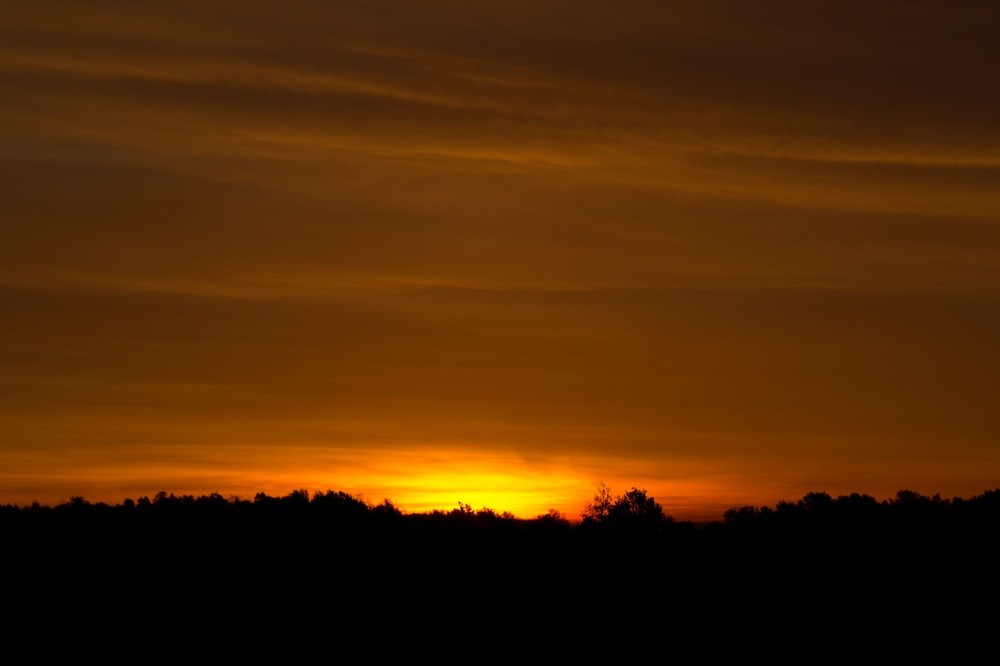 De güldne Sonne