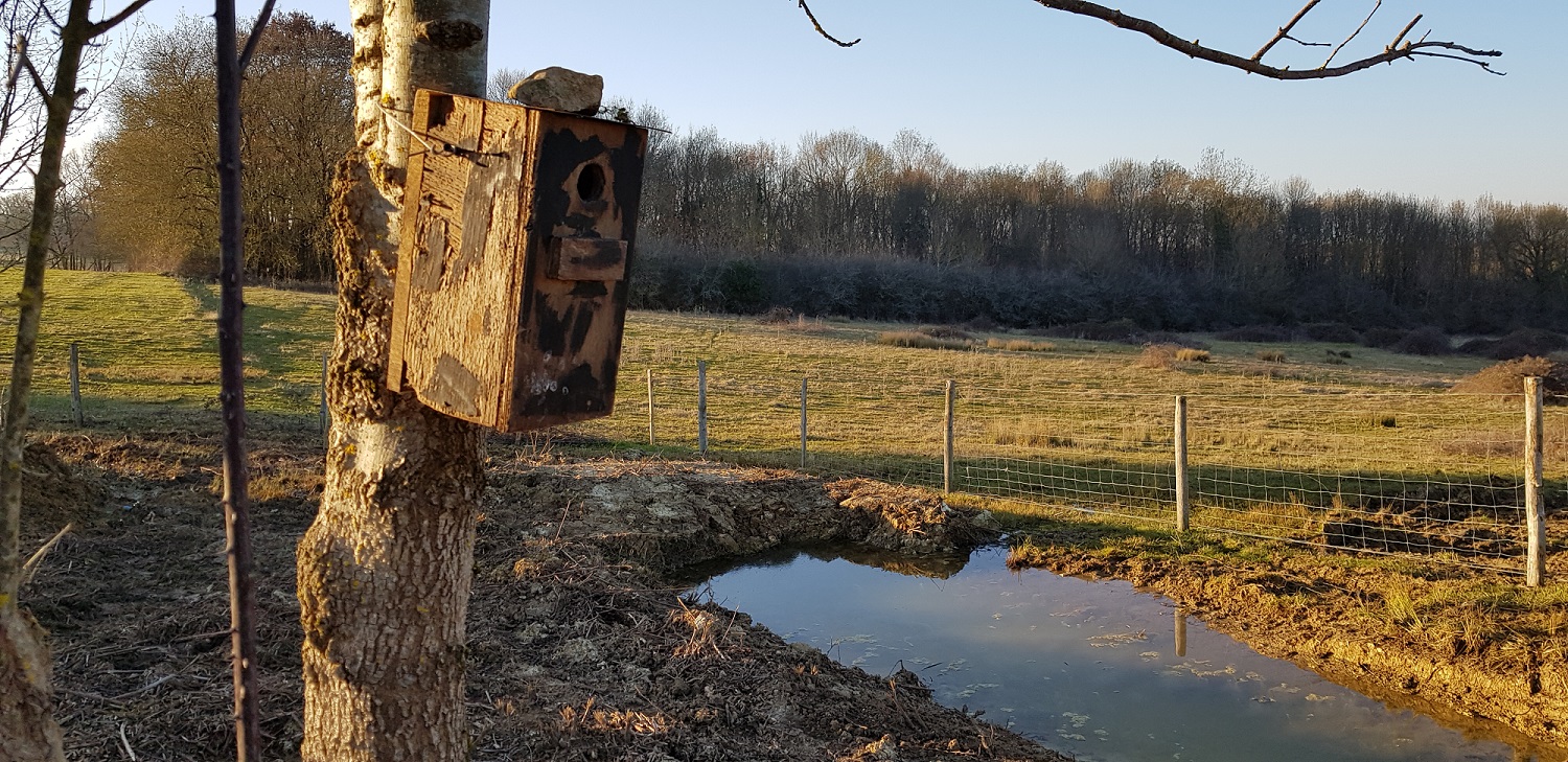 Paysan.ne et cultiver la biodiversité