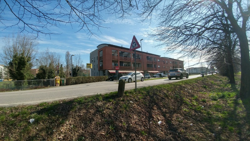 Studio olistico reiki Rovigo tomanin